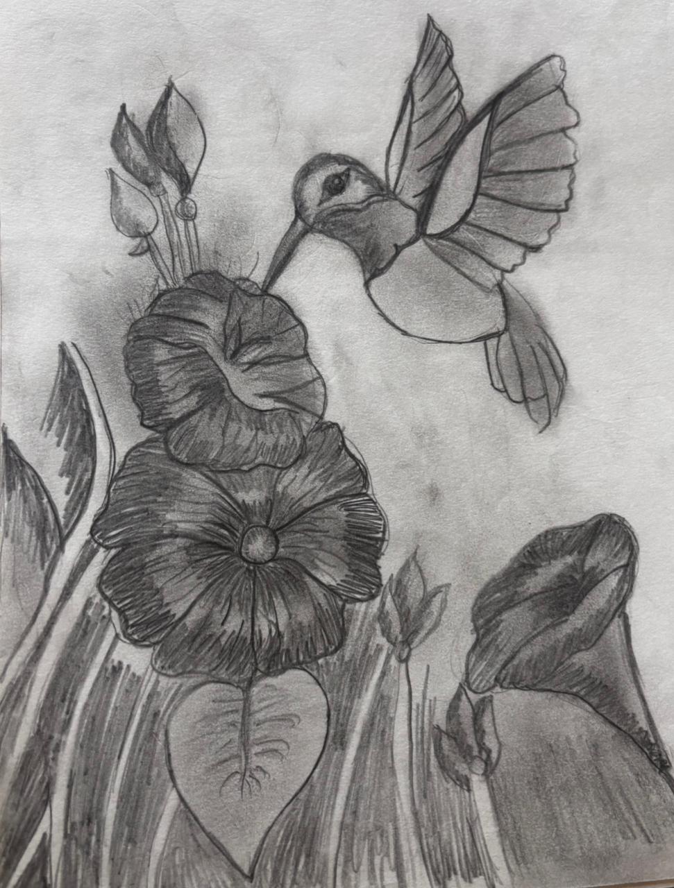 Portfolio Image